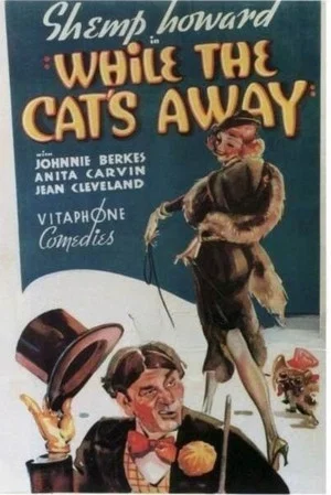 Постер: While the Cat's Away