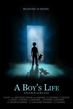 Постер: A Boy's Life