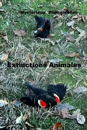 Постер: Mystérieux Phénomènes Extinctions Animales