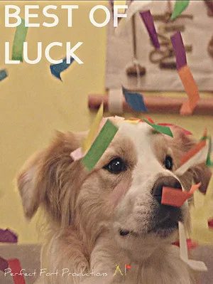 Постер: Best of Luck