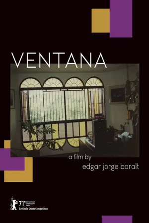 Постер: Window
