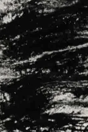 Постер: Turbulent Waters