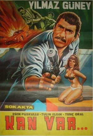 Постер: Sokakta Kan Vardı