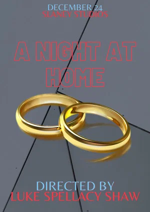 Постер: A Night at Home