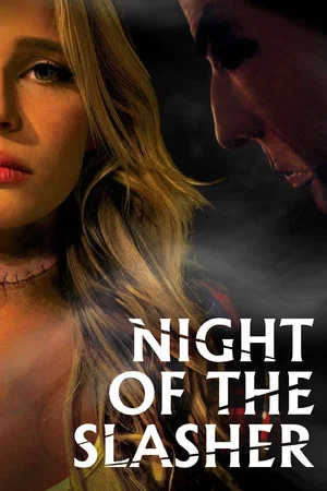 Постер: Night of the Slasher