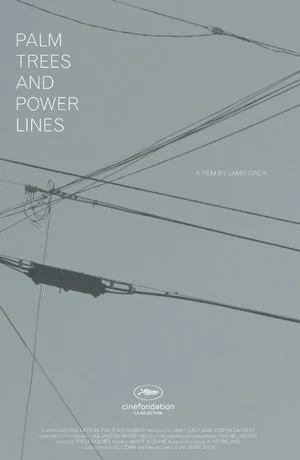 Постер: Palm Trees and Power Lines