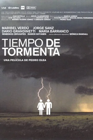 Постер: Stormy Weather