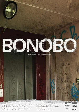 Постер: Bonobo