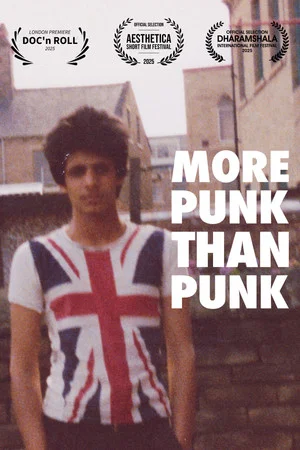 Постер: More Punk Than Punk