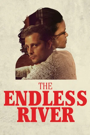 Постер: The Endless River