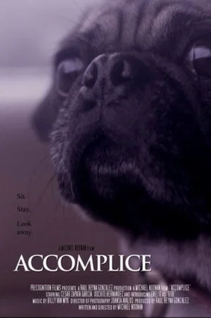 Постер: Accomplice