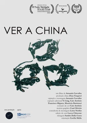 Постер: Ver a China