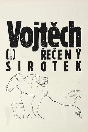 Постер: Vojtech, Called the Orphan