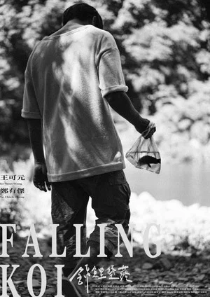 Постер: Falling Koi