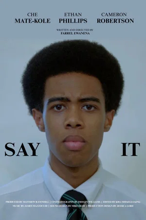 Постер: Say It