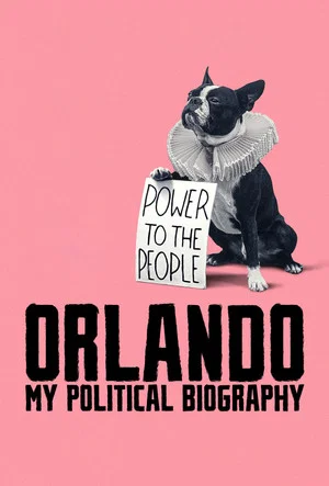 Постер: Orlando, My Political Biography