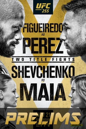 Постер: UFC 255: Figueiredo vs. Perez