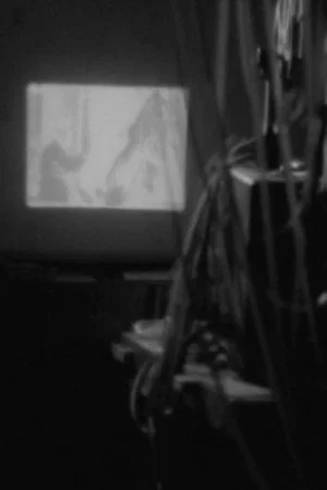Постер: VAN - A Fragment of a Dream