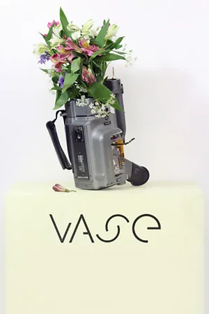 Постер: Vase