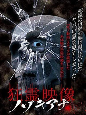 Постер: Crazy Spirit Video Nozokiana