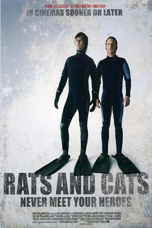 Постер: Rats and Cats