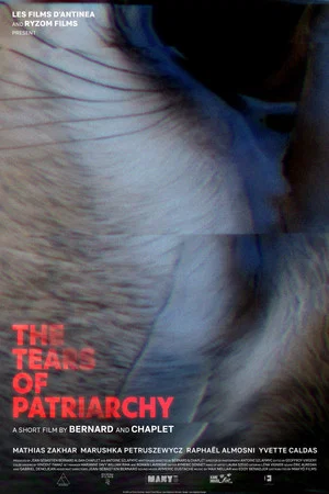 Постер: Les Larmes du Patriarcat