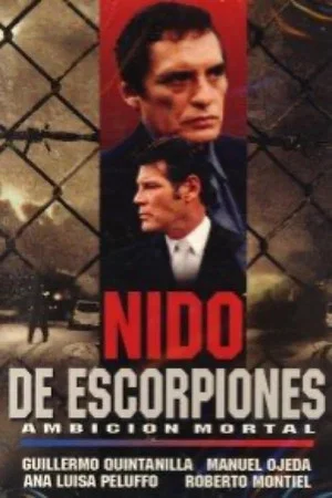 Постер: Abuso: Ambición mortal