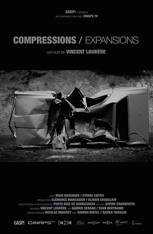 Постер: Compressions/Expansions