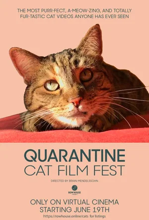 Постер: Quarantine Cat Film Festival
