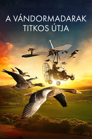 Постер: The Secret Routes of Migratory Birds