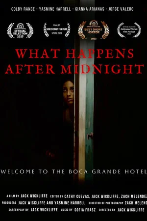 Постер: What Happens After Midnight
