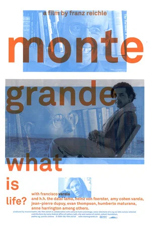 Постер: Monte Grande: What is Life?