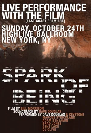 Постер: Spark of Being