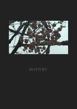 Постер: Winter