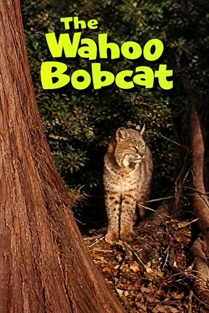 Постер: The Wahoo Bobcat