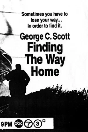 Постер: Finding the Way Home