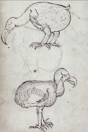 Постер: Dead as a Dodo