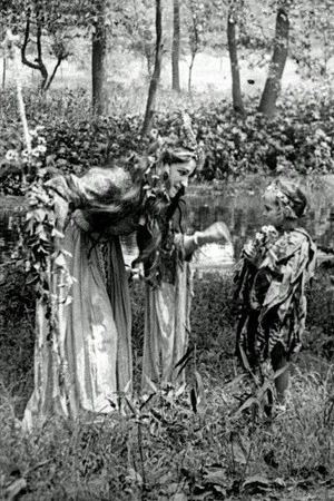 Постер: A Midsummer Night's Dream