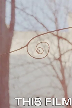 Постер: This Film