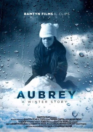 Постер: A Winter Story