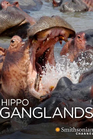 Постер: Hippo Ganglands