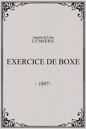 Постер: Exercice de boxe