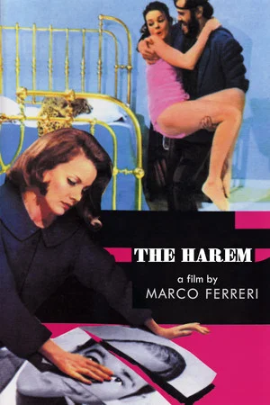 Постер: The Harem