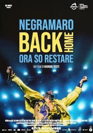 Постер: Negramaro Back Home - Ora so restare
