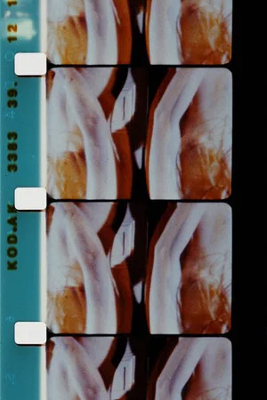 Постер: Log Abstract 1986