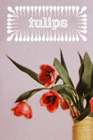 Постер: Tulips