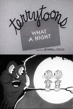 Постер: What a Night