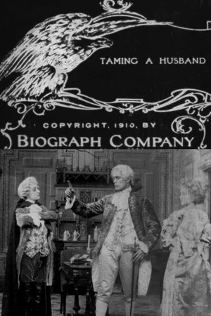 Постер: Taming a Husband