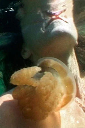 Постер: Jellyfish Lake
