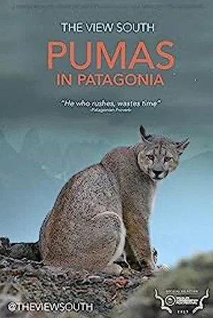 Постер: Pumas in Patagonia